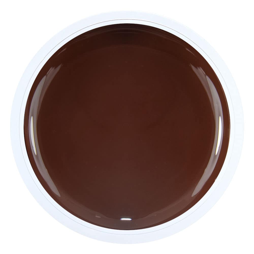 ARTISTIC PAINTING GEL BROWN 3g